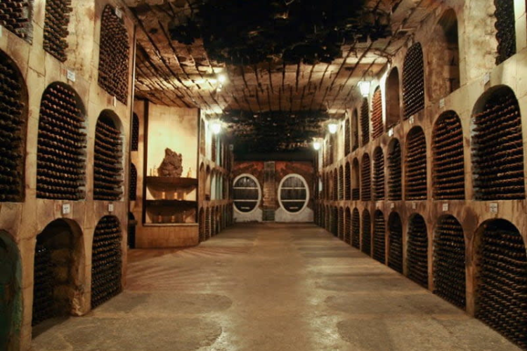 Wine Cellar